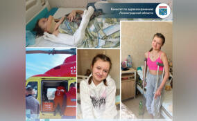 Медики спасли девочку после падения с пятого этажа в Ленобласти