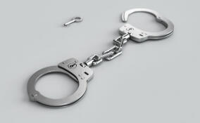 Полицейские поймали подозреваемого в ограблении мужчины в Буграх