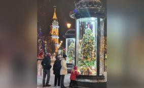 В Петербурге появились световые тумбы с новогодними ёлками, которые нарядили дети