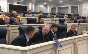 Депутаты ЗакСа Ленобласти приняли 101 закон в 2022 году