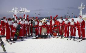 Более 80 Дедов Морозов официально открыли горнолыжный сезон на "Игоре" в Ленобласти