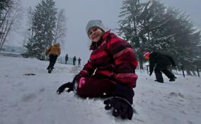 В Ленобласти 19 декабря ожидается небольшой снег и гололедица