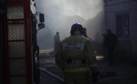 В результате пожара в квартире в Кудрово пострадал 10-летний мальчик