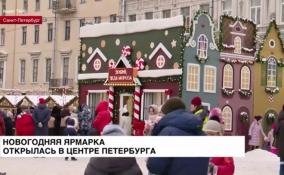 Новогодняя ярмарка открылась на Манежной площади в центре
Петербурга