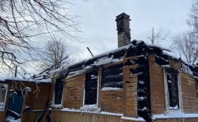 В деревне Сырковицы восстанавливают сгоревшее подворье спасения лошадей