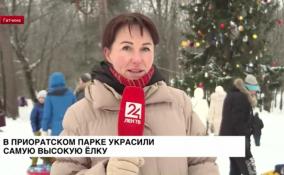 В Приоратском парке украсили ёлку поделками победителей конкурса «Приоратская
сказка»
