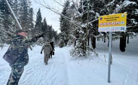 В шести природных заказниках Ленобласти экологи ловили любителей езды на снегоходах