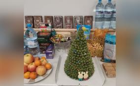 Новогодние угощения и подарки отправили пациентам военного госпиталя жители Соснового Бора
