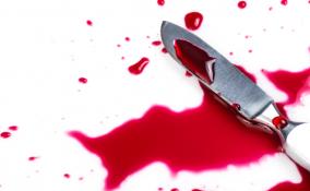 В Торошковичах пьяная женщина ударила своего сожителя ножом в живот