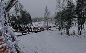 Облачная погода и небольшие дожди ожидаются в Петербурге 22 декабря