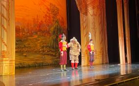 В Петербурге для детей-беженцев из Мариуполя подготовили новогоднюю развлекательную и оздоровительную программу