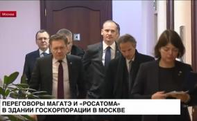 Переговоры «Росатома» и МАГАТЭ начались в Москве
