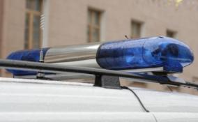 Кроссовер за 4 млн рублей угнали со двора ЖК «Золотые купола» в Сертолово