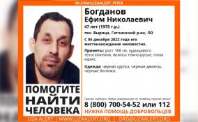 В Вырице с 4 декабря разыскивают пропавшего 47-летнего Ефима Богданова