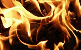 Полиция Сланцевского района обнаружила труп человека в сгоревшем "Шевроле Ланос"