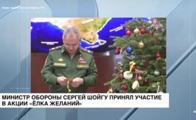 Министр обороны Сергей Шойгу принял участие в акции «Елка
желаний»