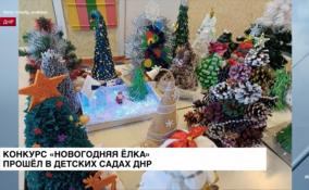В детских садах ДНР прошёл конкурс
«Новогодняя ёлка»
