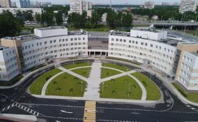 Сад в память о погибших в пандемию медиках в Петербурге появится вблизи Боткинской больницы