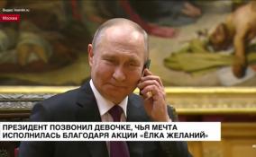 Владимир Путин позвонил девочке, чья мечта исполнилась благодаря
акции «Елка желаний»