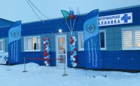 В Сумино открылась новая ветеринарная клиника за 6 млн рублей