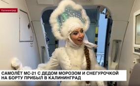 Самолет МС-21 с Дедом Морозом и Снегурочкой на борту прибыл в
Калининград