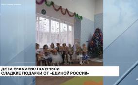 «Единая Россия» продолжает дарить новогодние подарки детям Енакиево