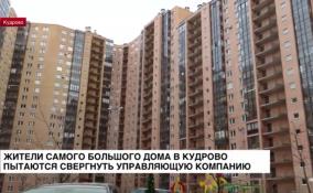 Жители самого большого дома в Кудрово пытаются свергнуть УК