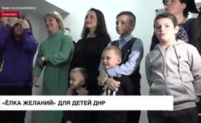 «Елка желаний» для маленьких жителей ДНР