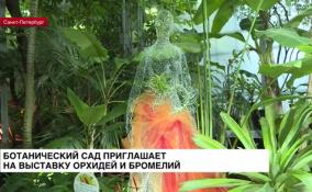 Ботанический сад приглашает на выставку орхидей и бромелий