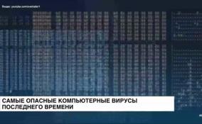 Самые опасные компьютерные вирусы последнего времени