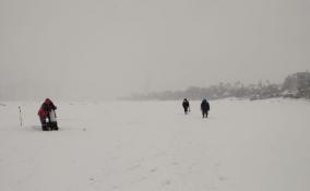 Спасатели Ленобласти ловили на льду водоема в поселке имени Свердлова рыбаков-нарушителей