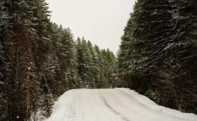 На новогодние праздники - в Ленобласть: любителей активного отдыха ждут живописные прогулочные зоны и обустроенные лыжные маршруты