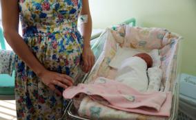 Более 1000 детей родилось в Ленобласти за декабрь