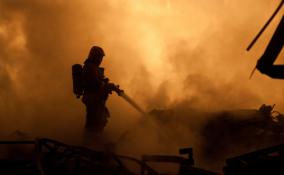 Горящий дом в Волховском районе тушили 12 пожарных