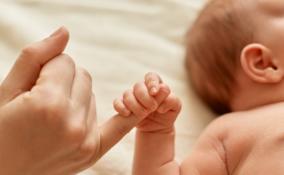 Свыше 12 тысяч малышей родилось в Ленобласти в 2022 году