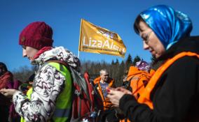 За 2022 год поисковый отряд «Лиза Алерт» нашёл в Ленобласти 2 545 пропавших жителей
