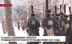Усадьба Демидова приняла традиционную реконструкцию боёв 1812 года