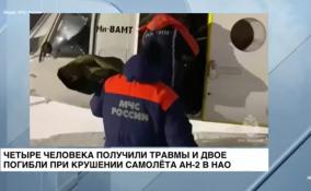 Четыре человека получили травмы и двое погибли при крушении
самолёта Ан-2 в Ненецком Автономном округе