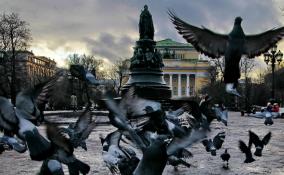 В Петербурге ожидается ветреная и снежная погода 10 января