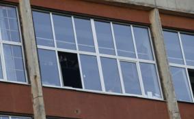 Из окна второго этажа в Петербурге выпала 6-летняя девочка
