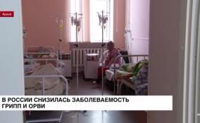 В России снизилась заболеваемость грипп и ОРВИ