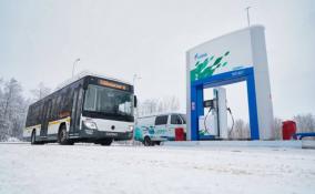 Ленобласть закупит низкопольные и газомоторные автобусы на 120 млн рублей