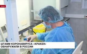 Штамм коронавируса «Кракен» обнаружили в России
