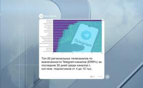 ЛенТВ24 вошел в тройку лучших региональных телеканалов по вовлеченности в Telegram