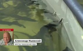 Александр Ишевский заявил, что показатели товарной рыбы уменьшились в 10 раз