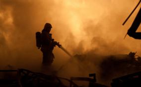 Почти 7 тысяч пожаров произошло в Ленобласти в 2022 году