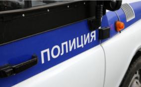 Житель Киришского района зарезал своего двухлетнего ребенка, ранил себя и вызвал полицию