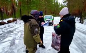 Любителей езды на снегоходах поймали на ООПТ «Колтушские высоты» и «Гряда Вярямянселькя»