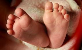 Свыше 400 малышей родилось в Ленобласти в первой половине января
