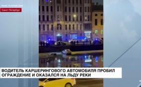 В Петербурге водитель каршерингового автомобиля пробил ограждение и оказался на льду реки